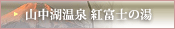 紅富士の湯（新しいウィンドウが開きます）