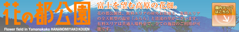 花の都公園 