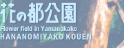花の都公園トップページへ