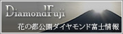 ダイヤモンド富士情報