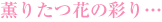 薫りたつ花の彩り