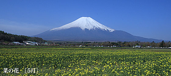花の都公園 ご利用・料金のごあんない