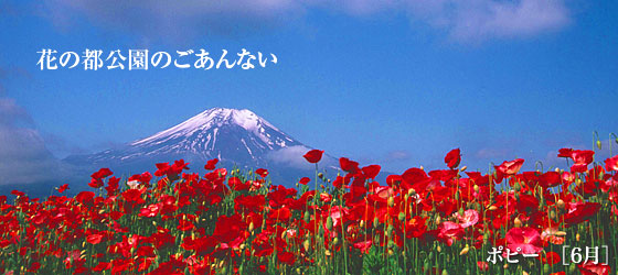 花の都公園 ご利用・料金のごあんない