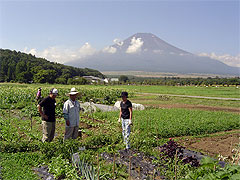 10坪農園風景