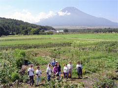 10坪農園風景