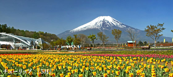 花の都公園 アクセス情報