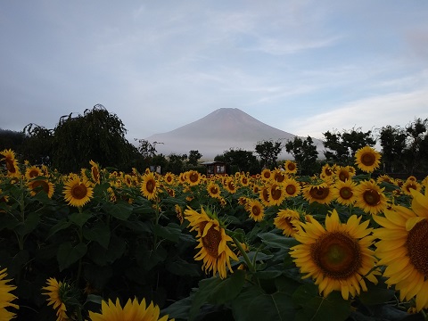 2018/08/14の写真