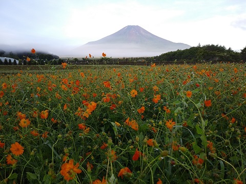 2018/08/14の写真