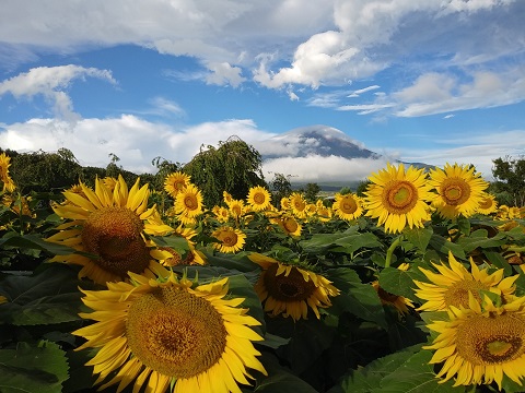 2018/08/16の写真