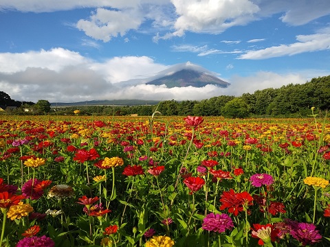 2018/08/16の写真