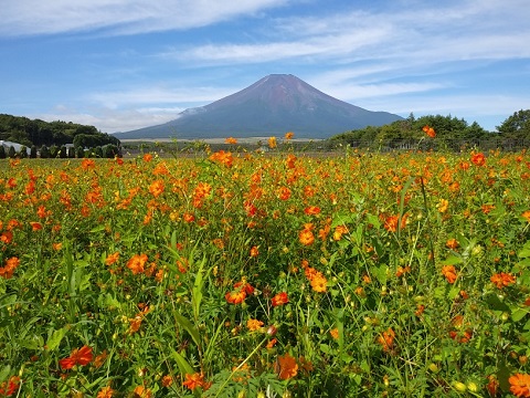 2018/08/18の写真