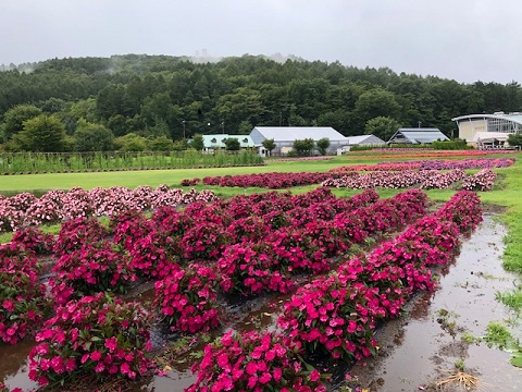 2018/08/24の写真