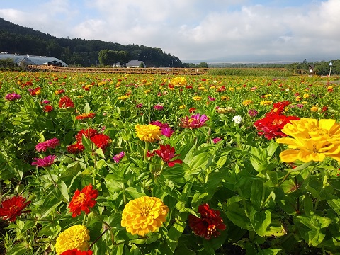 2018/08/30の写真