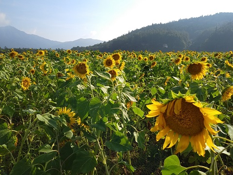 2018/08/30の写真