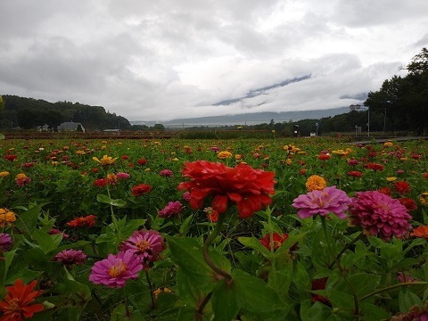 2018/09/03の写真