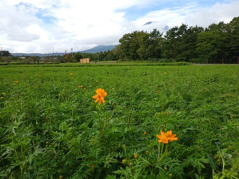 2018/09/09の写真