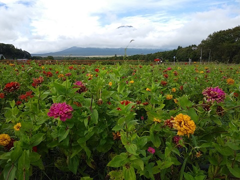 2018/09/09の写真