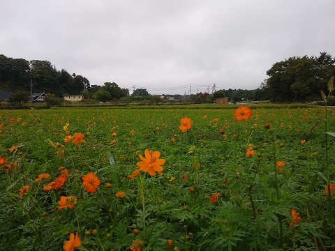 2018/09/12の写真