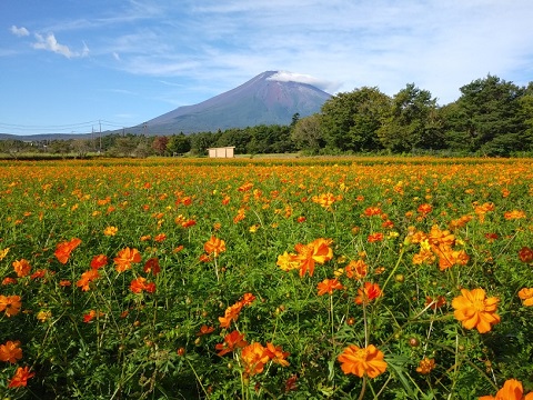 2018/09/17の写真