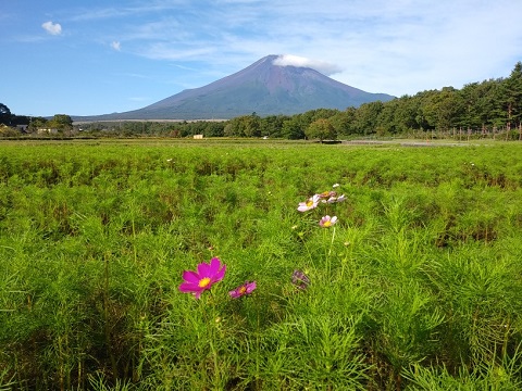 2018/09/17の写真