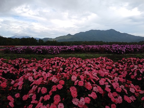 2018/09/22の写真