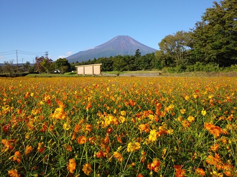 2018/09/28の写真