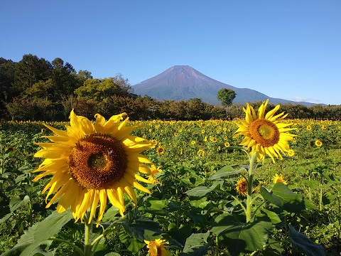 2018/09/28の写真