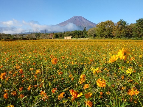 2018/10/07の写真