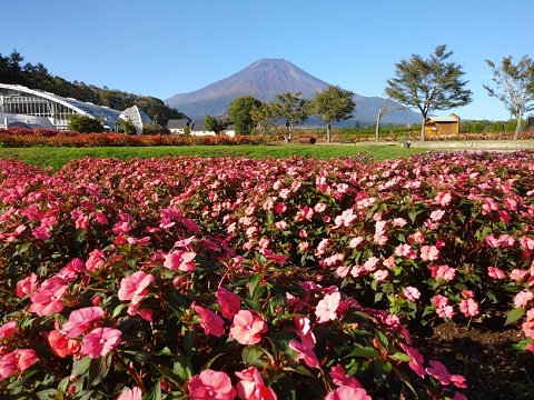 2018/10/07の写真