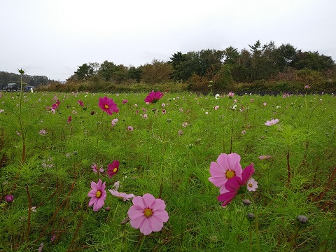 2018/10/12の写真