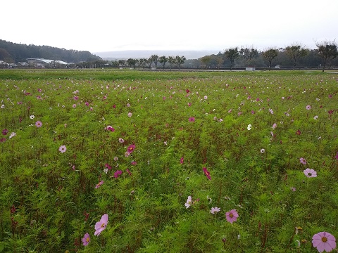 2018/10/14の写真