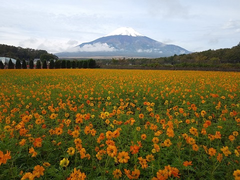 2018/10/16の写真