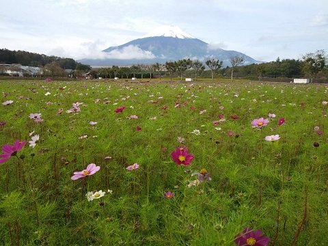 2018/10/16の写真