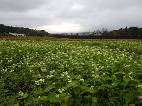 2018/10/19の写真