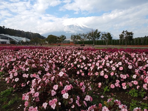 2018/10/20の写真