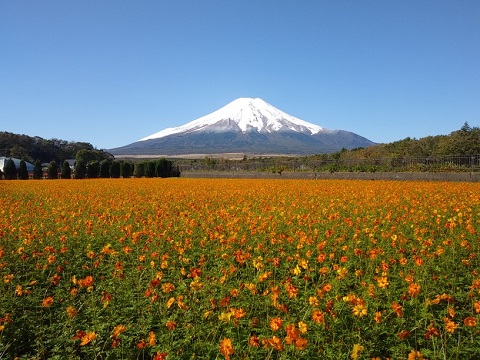 2018/10/21の写真