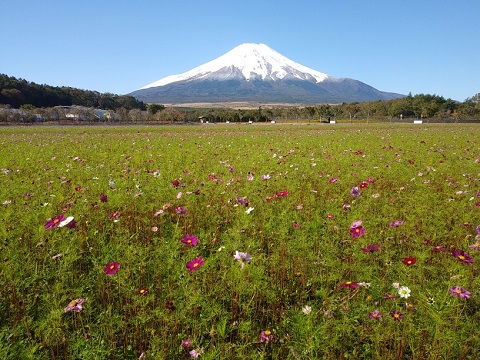 2018/10/21の写真