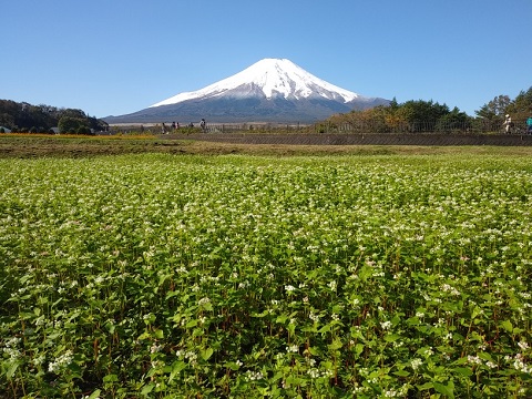 2018/10/21の写真