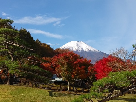 2018/10/31の写真