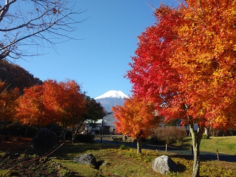 2018/11/10の写真