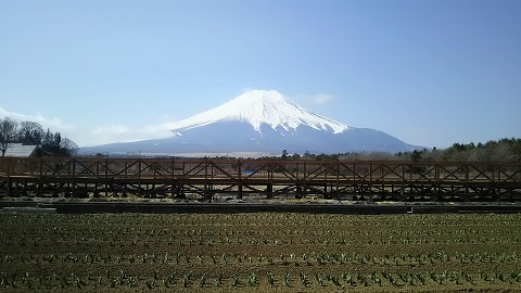 2019/03/25の写真