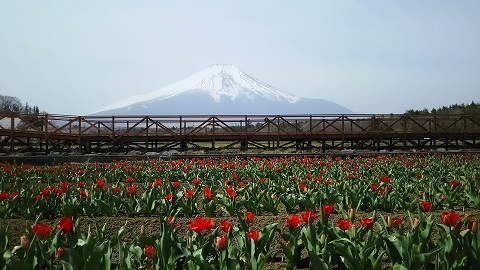 2019/04/23の写真