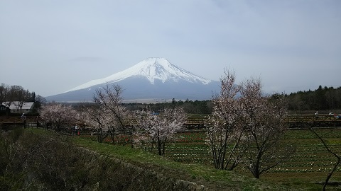 2019/04/23の写真