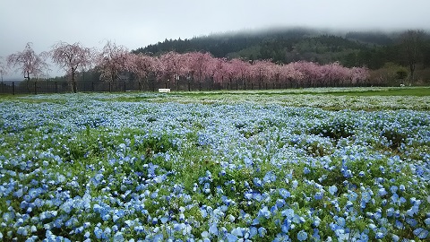 2019/04/27の写真