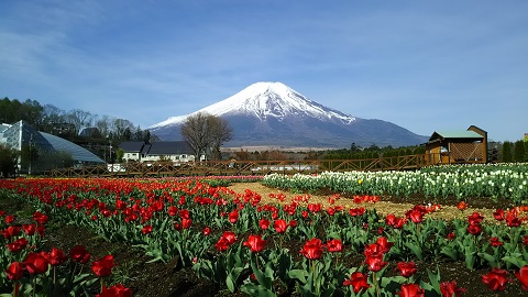 2019/05/03の写真