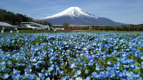 2019/05/03の写真