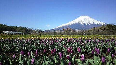 2019/05/08の写真