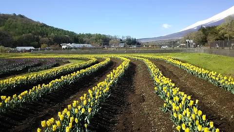 2019/05/08の写真