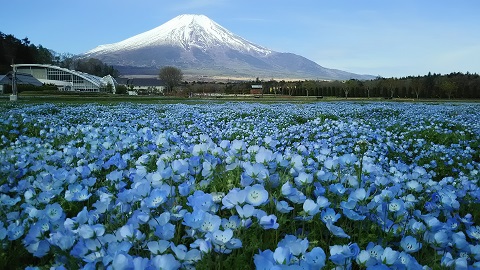 2019/05/09の写真