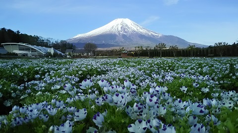 2019/05/09の写真